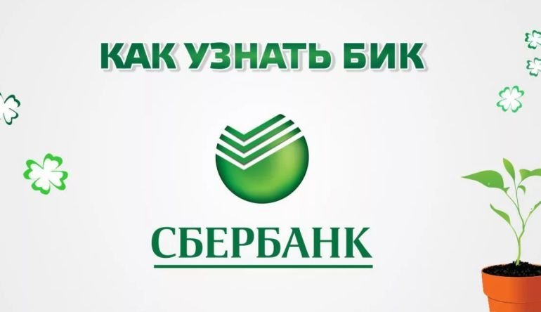3 способа узнать БИК Сбербанка